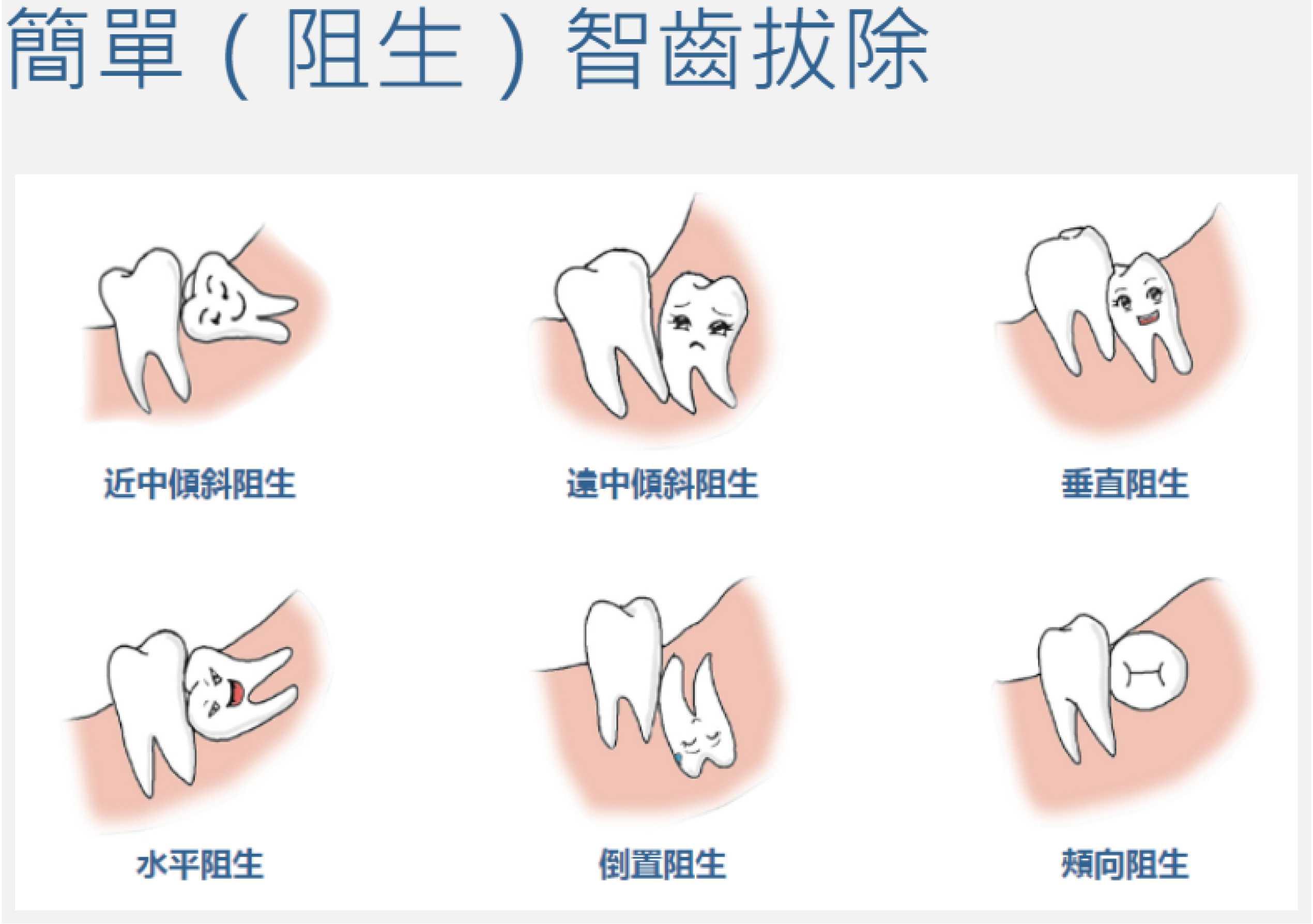 照片29_画板 1.jpg