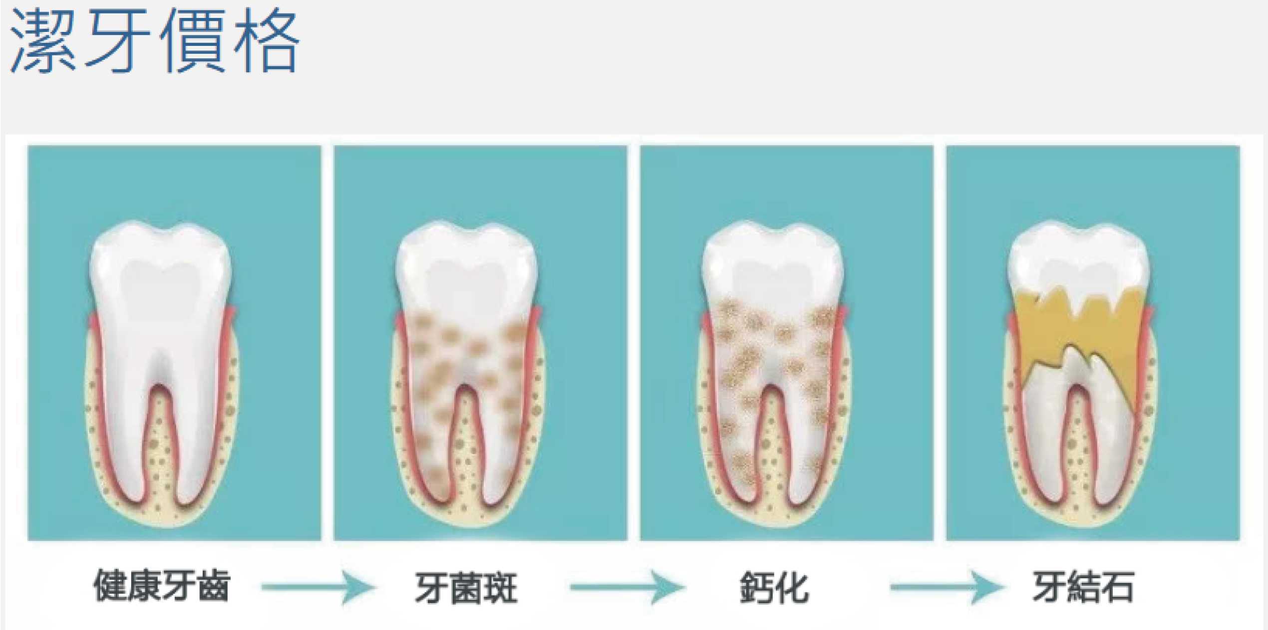 照片37_画板 1.jpg